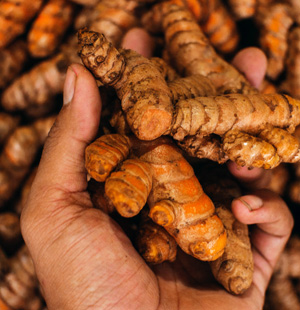 Turmeric