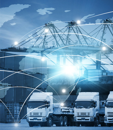 World Transportation Service