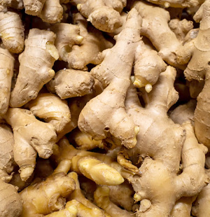 Ginger