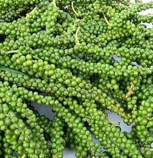 Green Pepper