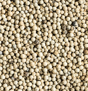 White Pepper