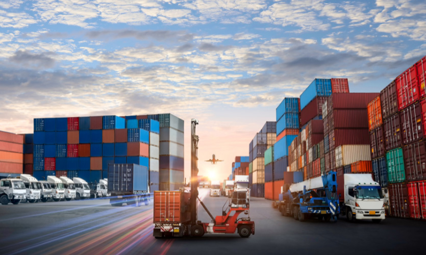 Global Export Expertise